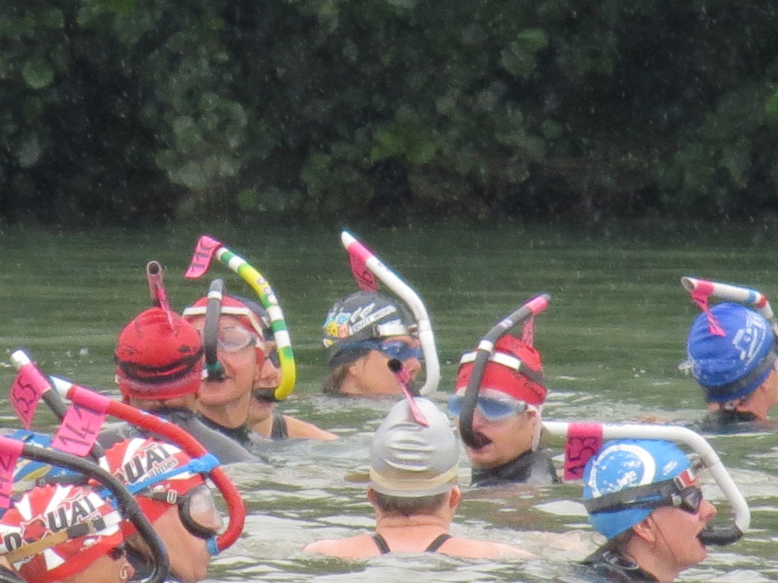 CF 2014 (23)