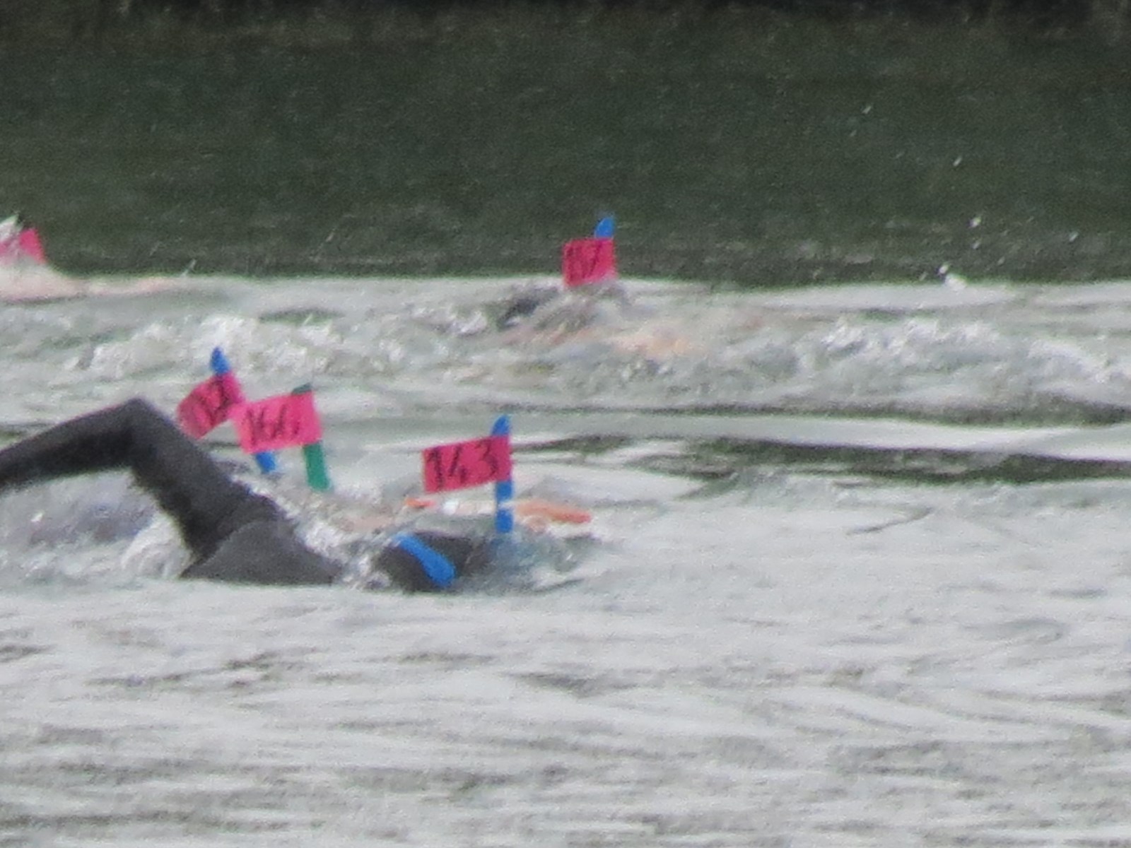CF 2014 (28)