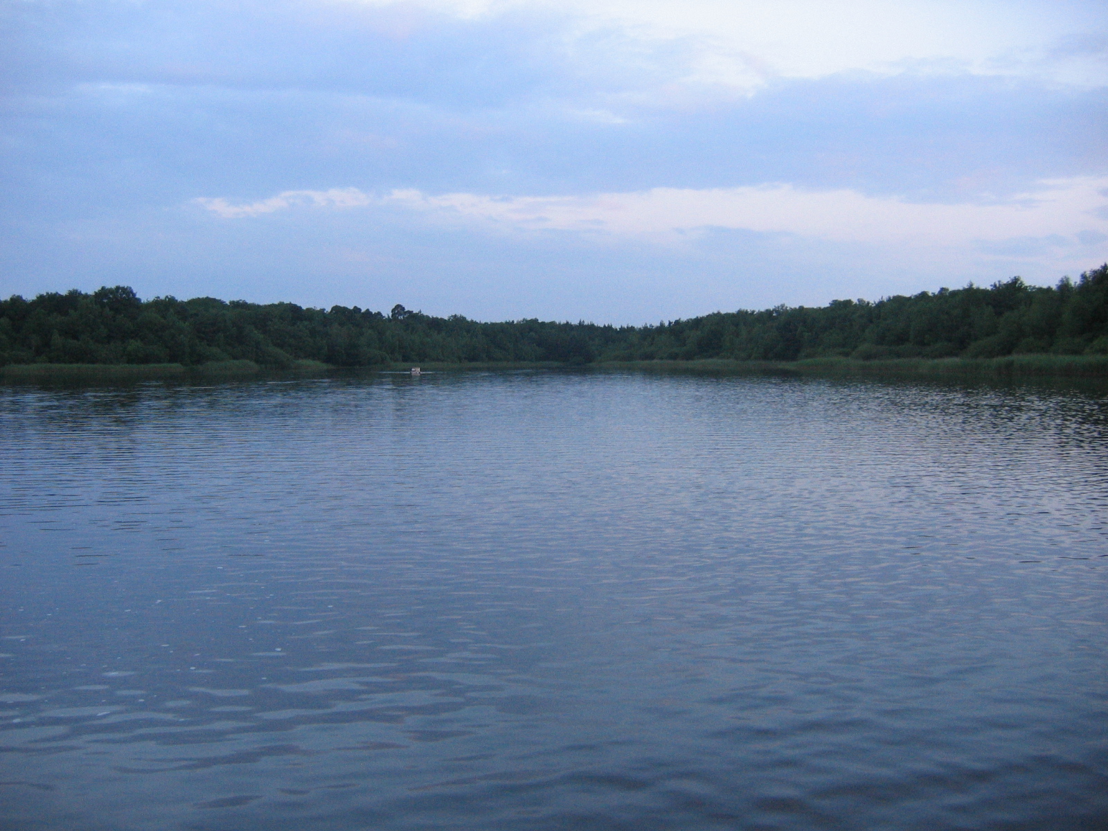 etang des bois 26 juin 2006 007