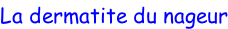La dermatite du nageur