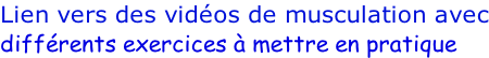Lien vers des vidéos de musculation avec différents exercices à mettre en pratique